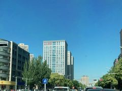 -奇帕波·披萨&炸鸡(诺和木勒站店)