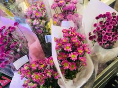 -盒马X会员店(王府井奥莱UP TOWN店)