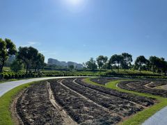 -春花秋色城市公园