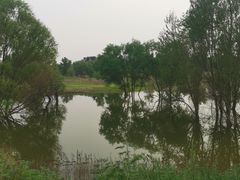 -绿堤公园