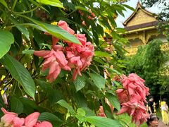 -西双版纳总佛寺