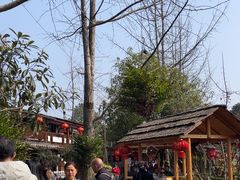 -青城甲(青城山店)