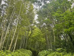 -天目湖涵田度假村