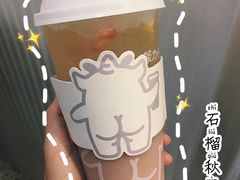 石榴秋韵-茶力的小怪兽(梅林卓悦汇店)