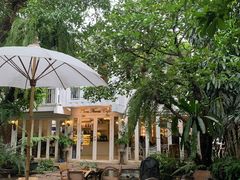 -Fern Forest Cafe