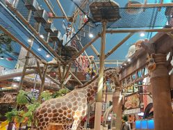 -卡通尼·Safari非洲探索乐园·生日会(金桥国际商业广场店)