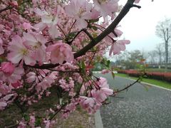 -九里河湿地公园