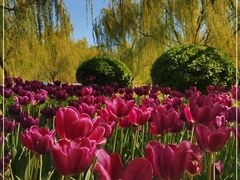 -朝阳公园游乐园