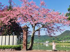 -风云岭森林公园