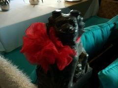 -同喜烤鸭店(光芒店)