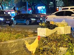 -裕德孚·非遗手切涮羊肉(东直门内大街店)