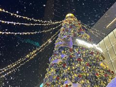 -东莞松山湖万象汇