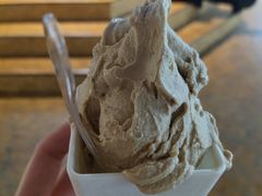 -野人牧坊Gelato(天津南开大悦城店)