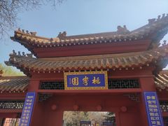 -桃花堤公园