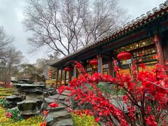 -白家大院·王府宫廷菜(苏州街店)