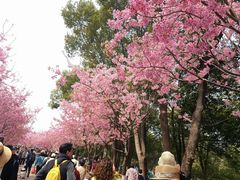 -凤凰沟景区