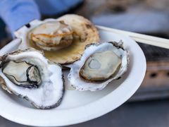 -台场海滨公园船码头