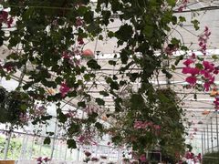 -名花谷生态庄园