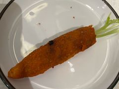 -丁老爷子苏香圆
