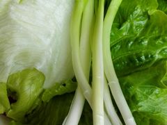 -Local泰莲庭(虹鳟鱼店)