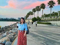 -宝安西湾红树林湿地公园