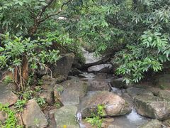 -四会奇石河风景区