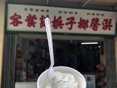 -洪馨椰子