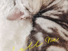 -lincat·猫舍(广州店)