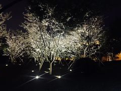 -堤角公园