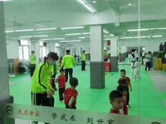-武术世家少儿培训中心(首都体育学院店)