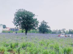 -静之湖度假区