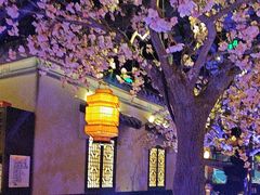 -绿茶餐厅(西湖银泰百货店)