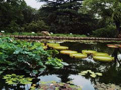 -国家植物园南园