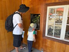 -可伦宾野生动物保护区