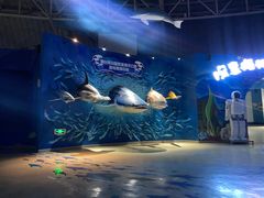 -烟台海昌鲸鲨海洋公园