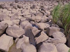 -上海吴淞炮台湾国家湿地公园