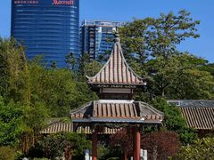 -顺峰山公园