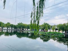 -百花洲