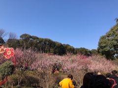 -无锡梅园公园