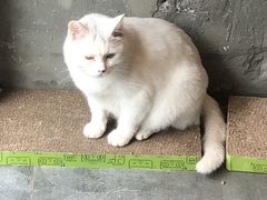 -作咖啡(养育巷店)
