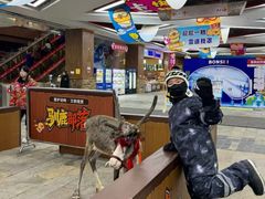 -哈尔滨热雪奇迹