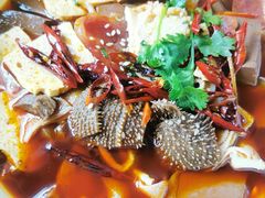 -洋洋中餐馆·SINCE 1997(信投店)