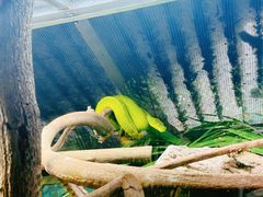 -可伦宾野生动物保护区