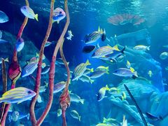 -沈阳海洋探索中心