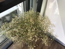 -摩睫+皮肤管理·科学美容中心