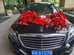 -蚂蚁婚车