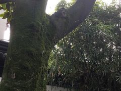 -中国昆曲博物馆
