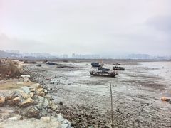 -北岐滩涂