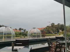 -厦门悦华酒店·绿庭主题自助餐厅
