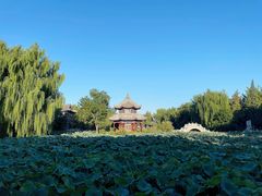 -莲池书院博物馆